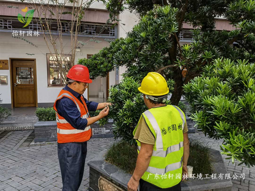 九游会园林绿化公司厂区绿化养护指导工作